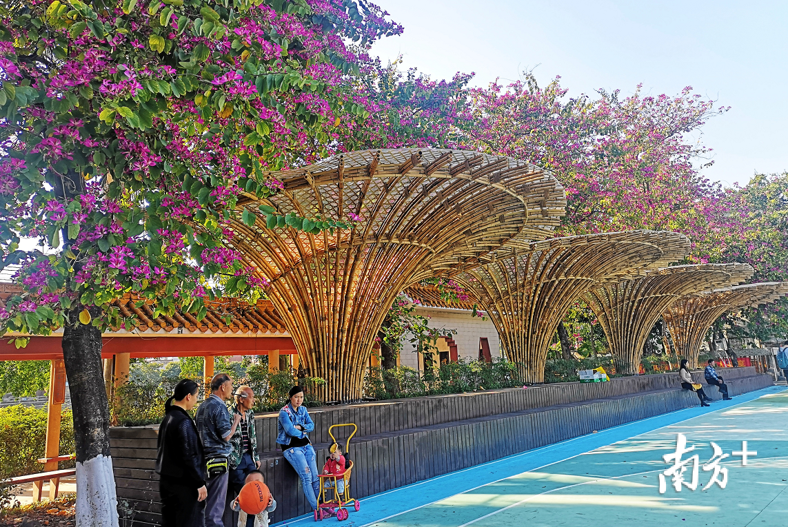 华工学子设计的竹构景观给长岐古村带来新气象。