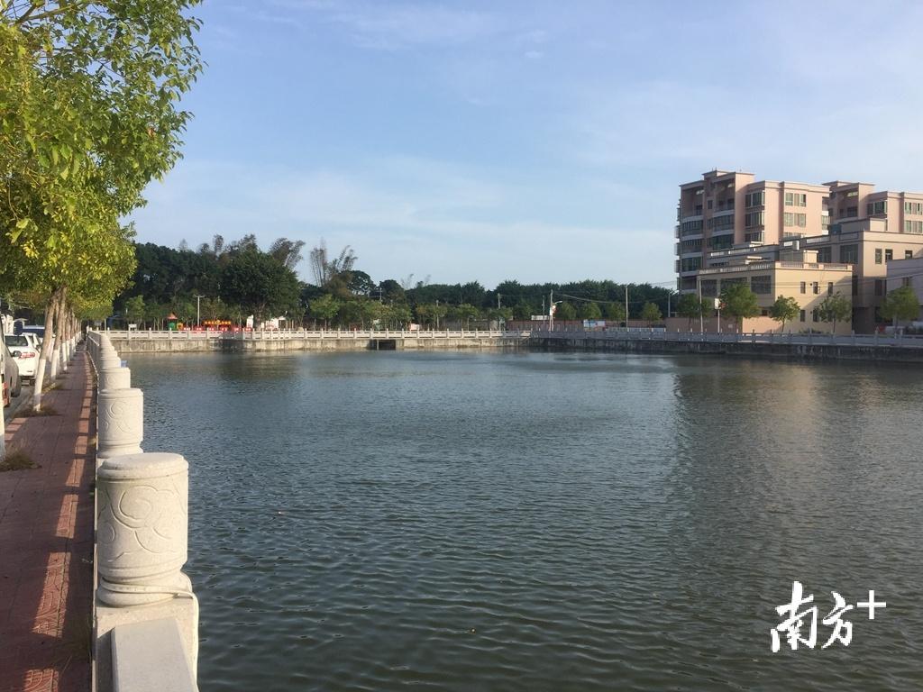 坑尾村开阔洁净的村前池。 黄嘉锋 摄 坑尾村开阔洁净的村前池。 黄嘉锋 摄