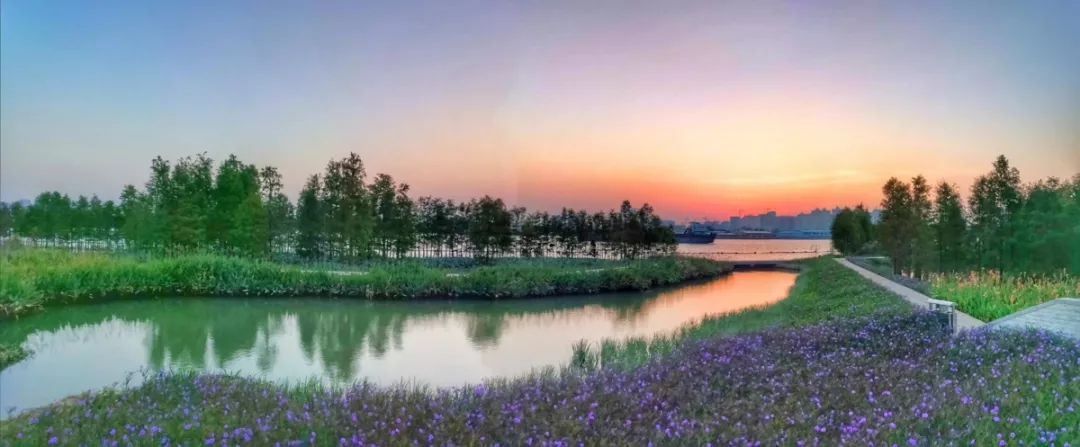 不同的時刻來到黃楊河溼地公園,都能感受到它不同的美,或靜默溫情,或