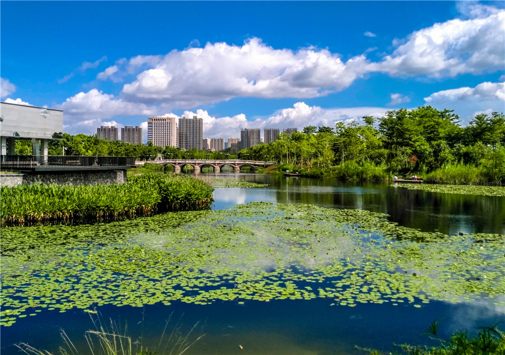 多图|从71幅获奖摄影看常平生态环境变化,令人眼前一亮