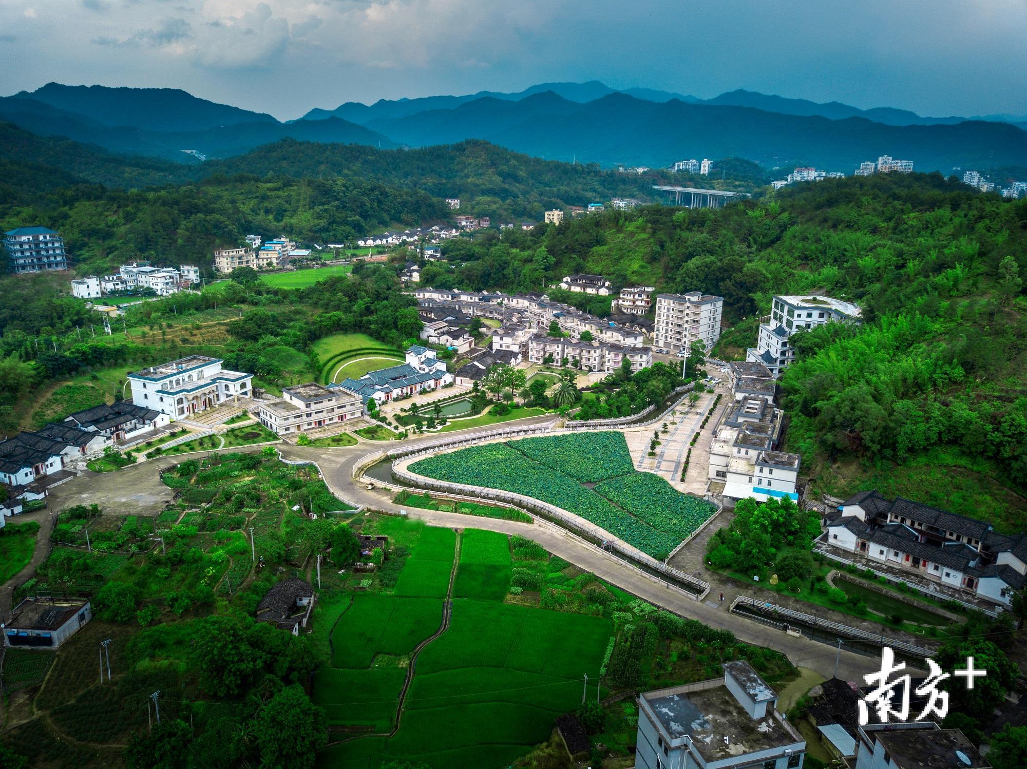 大埔县美丽乡景。