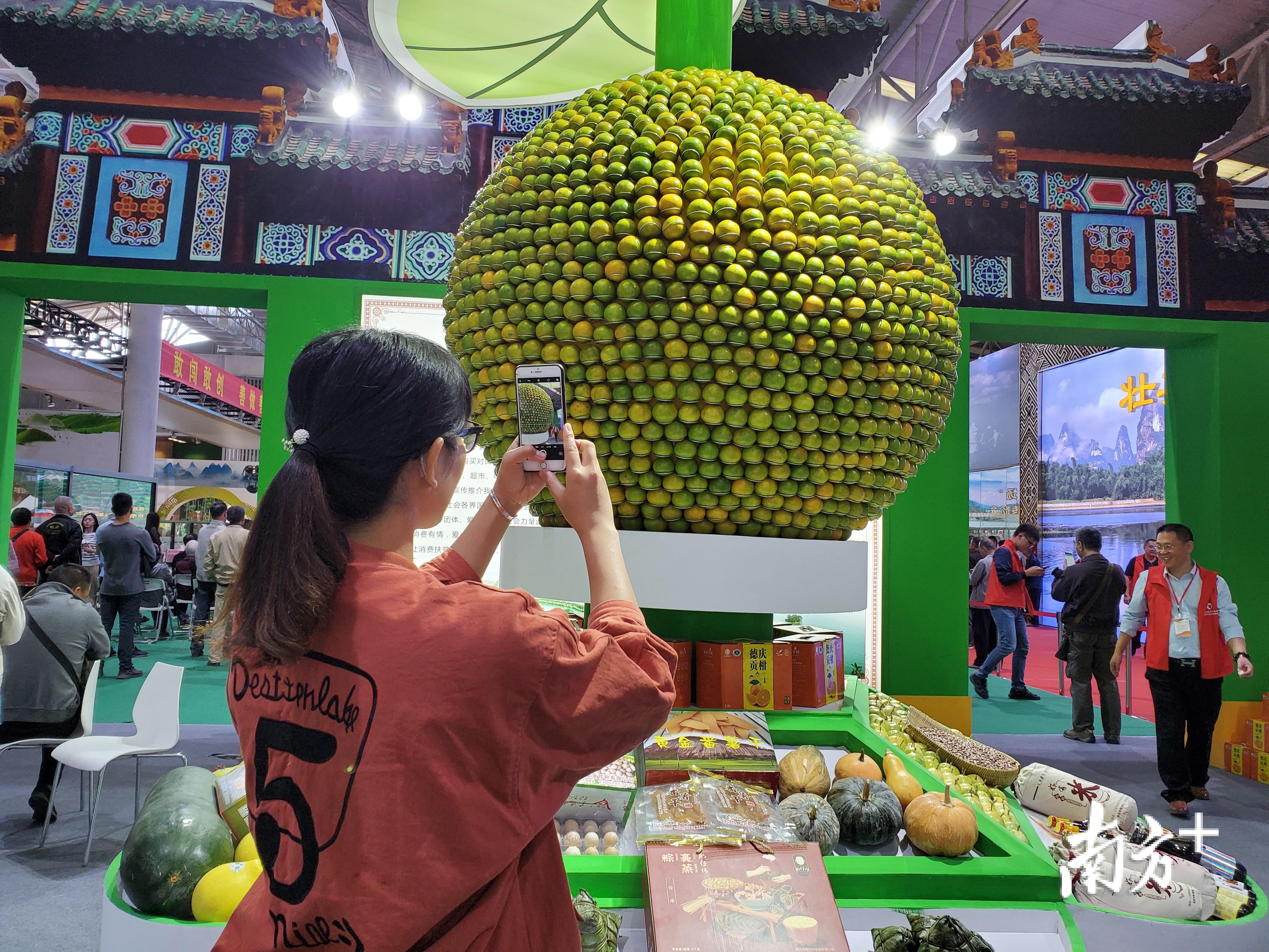今年11月22日，肇庆市2019年“消费扶贫肇庆专场”暨“德庆贡柑”市场营销宣传推介会在广州举行，德庆贡柑吸引市民拍照。南方日报记者 余秋亮 摄