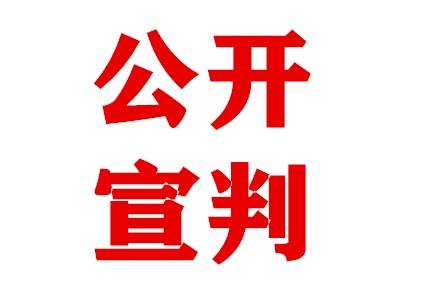 高州法院公开宣判一涉黑犯罪案：苏某发等12人被判有期徒刑16年至5年半不等