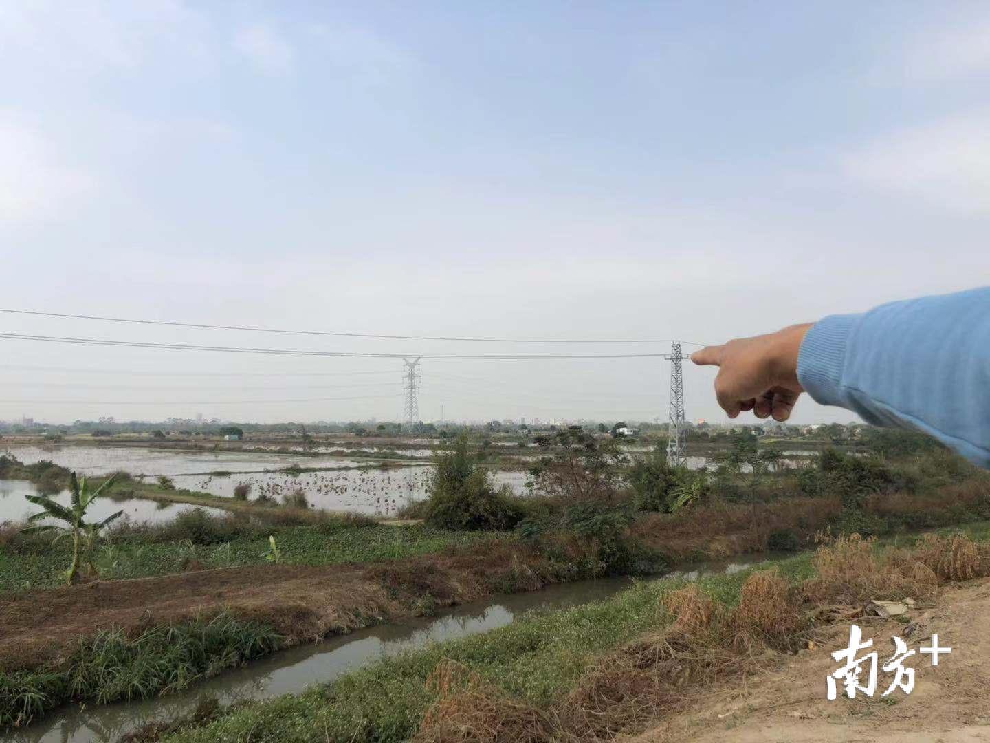 王作生向记者指明拆除鸟网的地方。余丹 摄