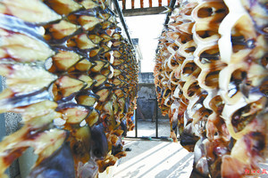 河北村渔民在家里晾晒的鱼干。郑荣新 摄