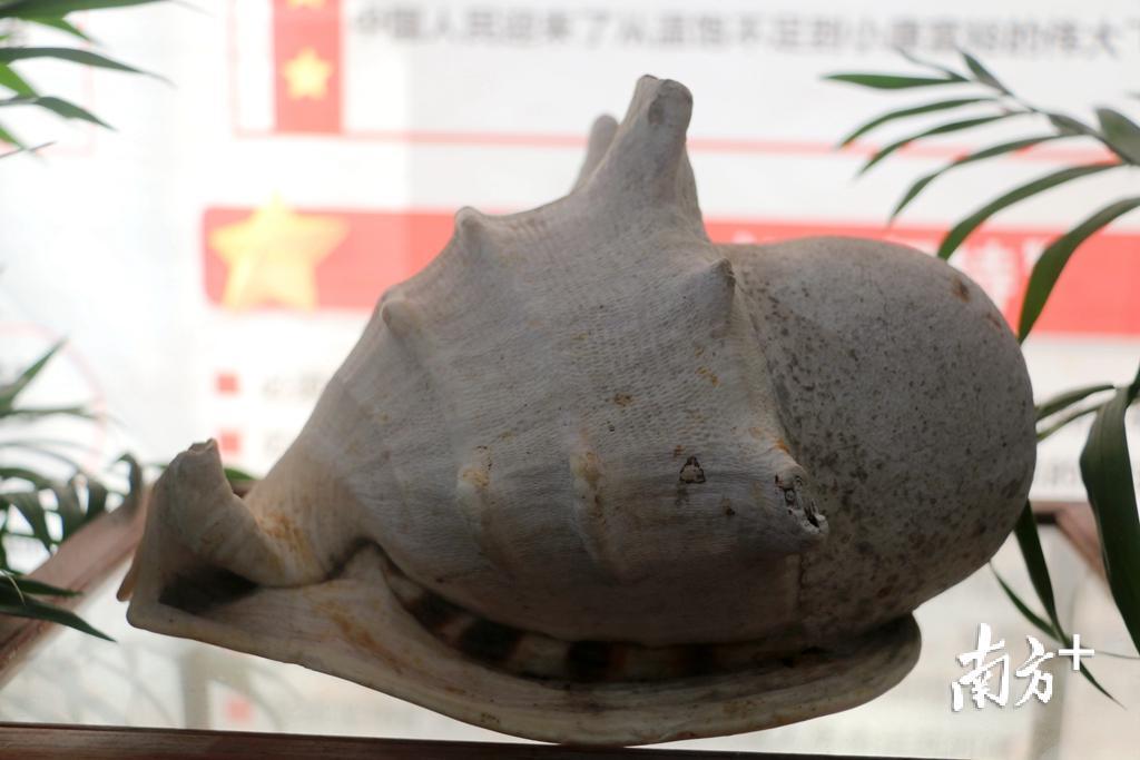 螺号则是渔民武装暴动的号角。 螺号则是渔民武装暴动的号角。