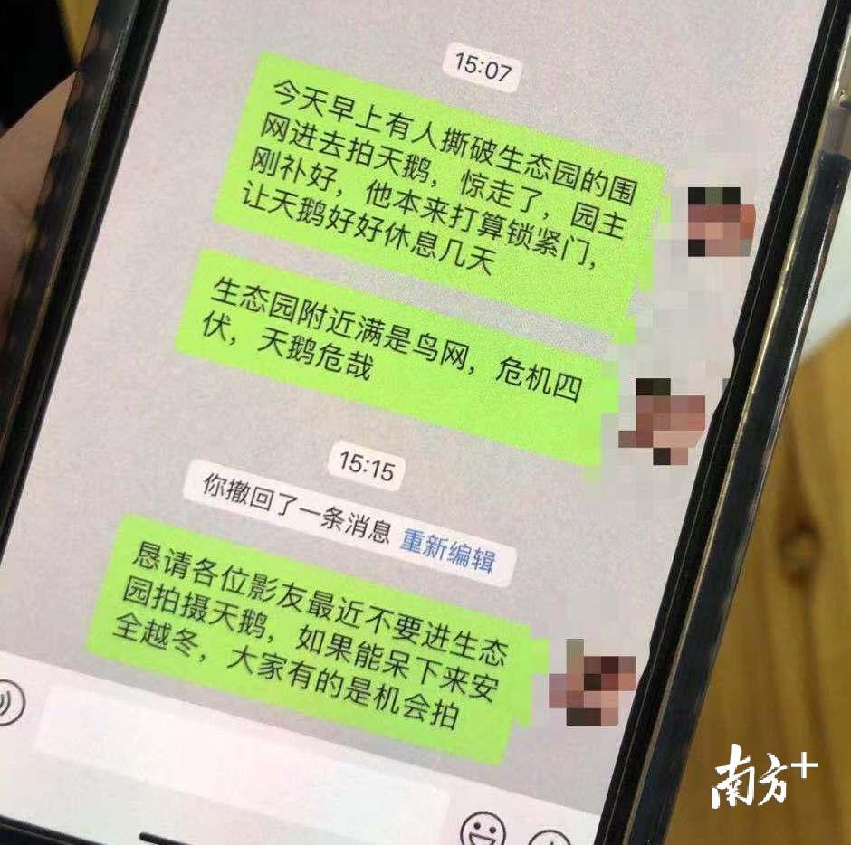 野保志愿者呼吁摄影爱好者们勿扰小天鹅。余丹 摄
