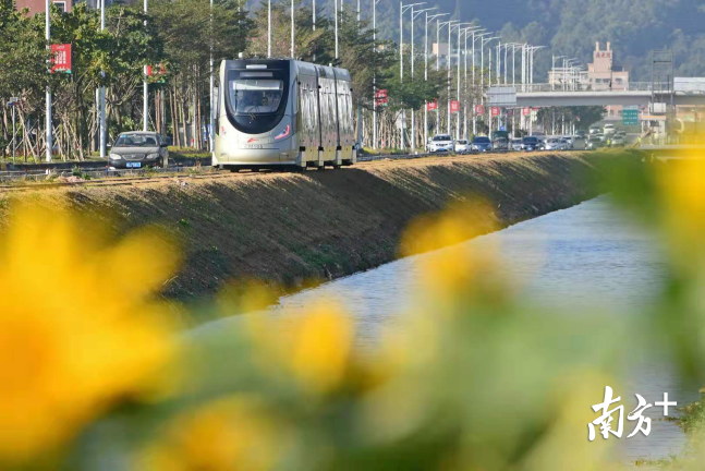世界首条商业运营的氢能源有轨电车在佛山市高明区上线。戴嘉信 摄