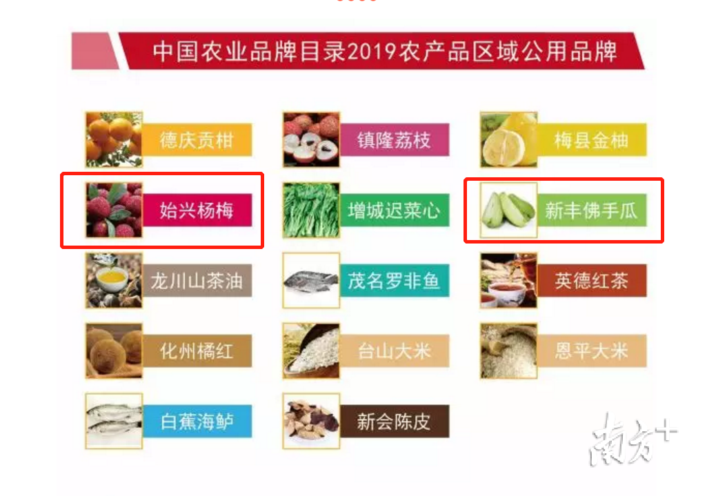 2019农产品区域公用品牌