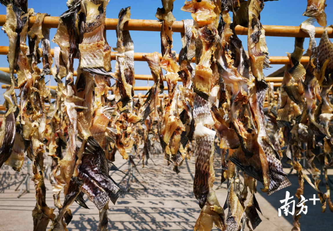 芦苞“腊味四宝”之一的腊鱼干。 芦苞“腊味四宝”之一的腊鱼干。