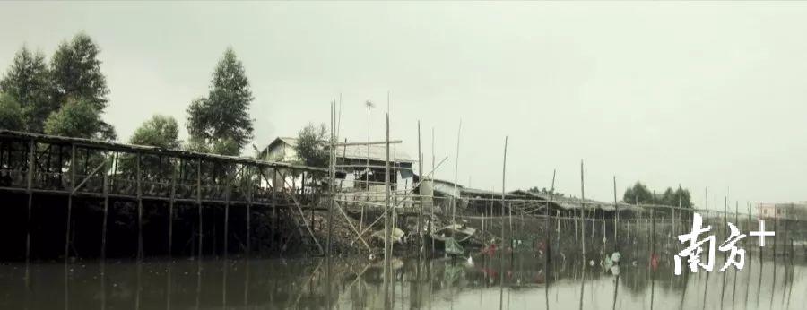 修复前的华阳湖