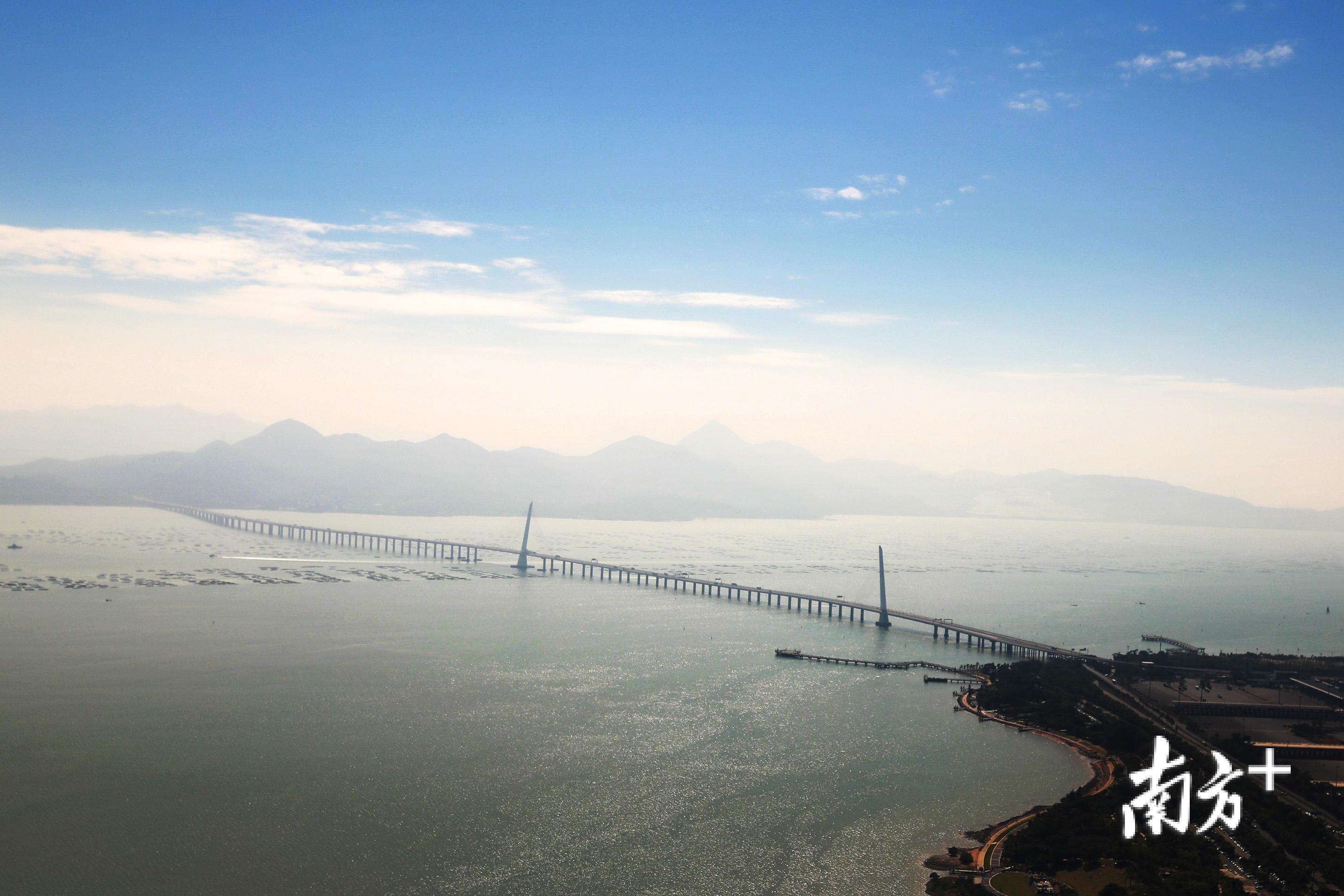 深圳湾跨海大桥。