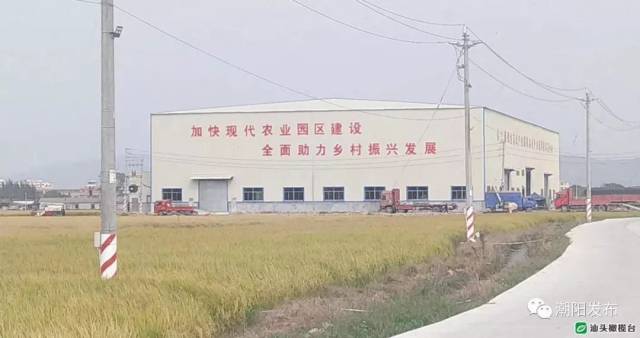 把握行业趋势，共探大米批发的新机遇