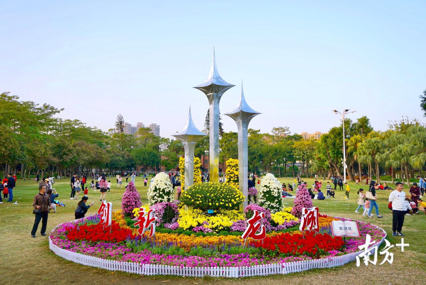 汕头六区一县都在菊展“亮相”