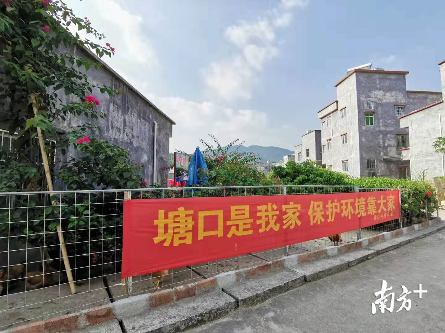 大坡镇贺口村委会塘口村一处“小三园”，其内圈养鸡鸭。刘栋铭 摄