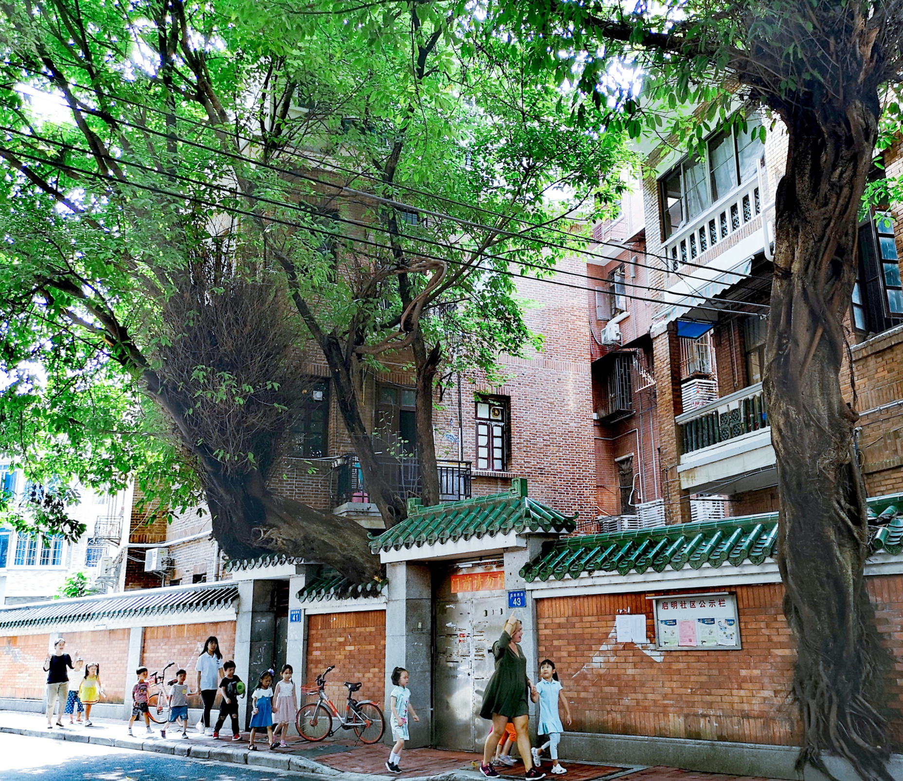 厉害了!广州这些老洋房捧回亚洲景观营造领域最高奖