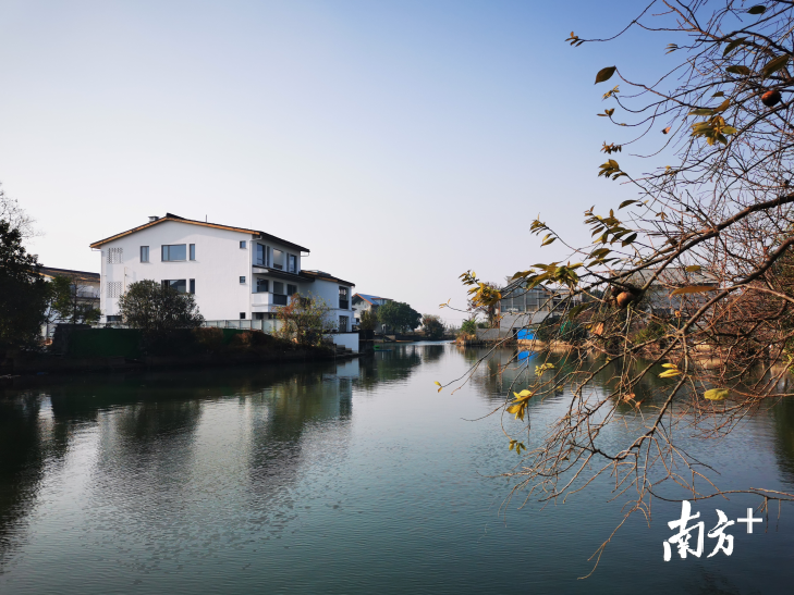 计家墩“理想村”有着良好的生态环境，从高空俯瞰，整个村落被稻田和河网环绕着。受访者供图