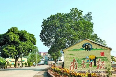 遂溪大力开展人居环境整治工作。图为整治后的遂溪布政村。