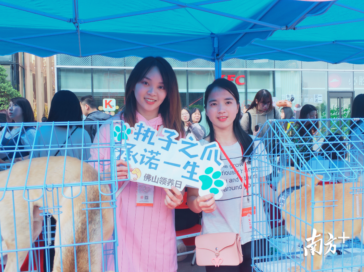 由佛山市伴侣动物保护协会主办的第14届佛山宠物领养日现场。受访者供图