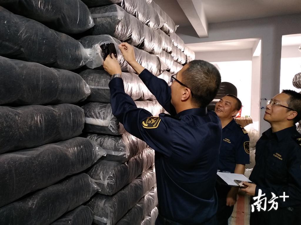 潮阳海关关员到企业检查农副产品包装情况。郑永铭 摄