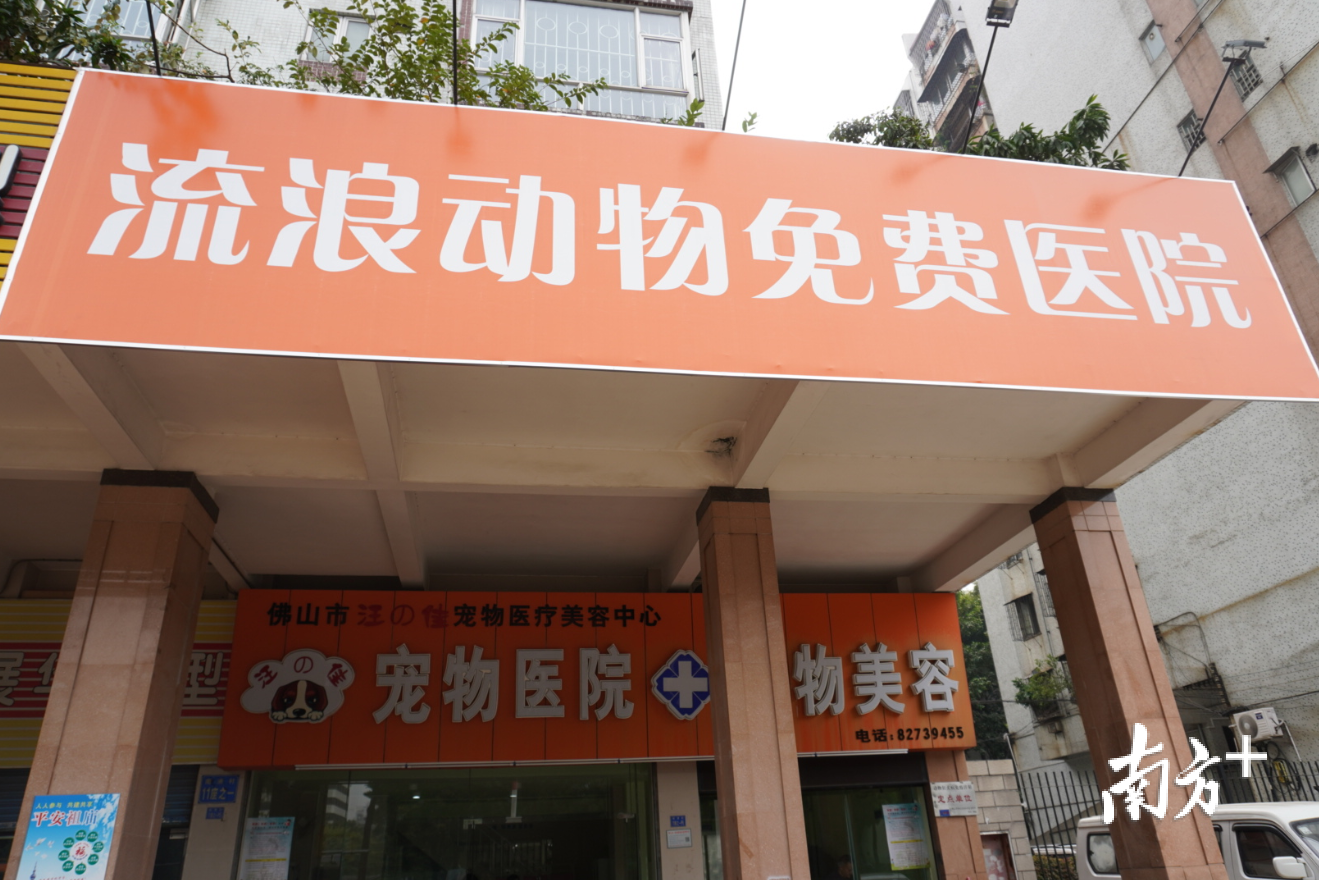 何帜林在佛山开设的流浪动物免费医院。庄晓莹 摄