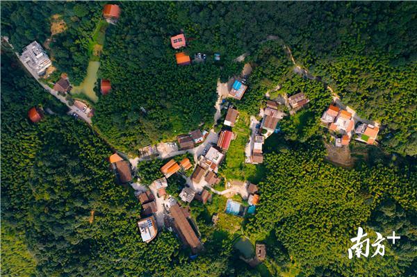 绿 色:惠州是全省首个地级“国家森林城市”,都市公园绿道湿地星罗棋布,更有罗浮山、南昆山这样全国知名的“氧吧”。图为从高空俯视南昆山下坪社区中坪尾居民小组。 绿 色:惠州是全省首个地级“国家森林城市”,都市公园绿道湿地星罗棋布,更有罗浮山、南昆山这样全国知名的“氧吧”。图为从高空俯视南昆山下坪社区中坪尾居民小组。