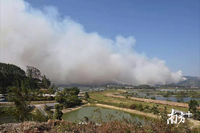 南方+网友 Seagull供图。 南方+网友 Seagull供图。
