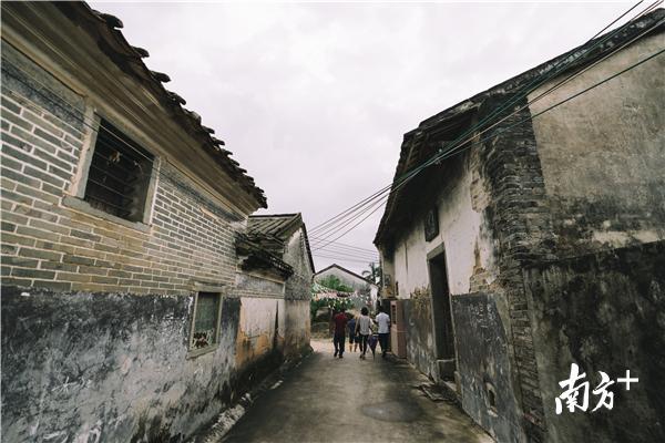 青 色:惠州市已有33个“广东省古村落”,这些青砖古瓦的古建筑见证着惠州历史的发展。图为惠东县多祝镇的皇思扬古围村具有居家生态和世俗传统文化的东方气派。 青 色:惠州市已有33个“广东省古村落”,这些青砖古瓦的古建筑见证着惠州历史的发展。图为惠东县多祝镇的皇思扬古围村具有居家生态和世俗传统文化的东方气派。