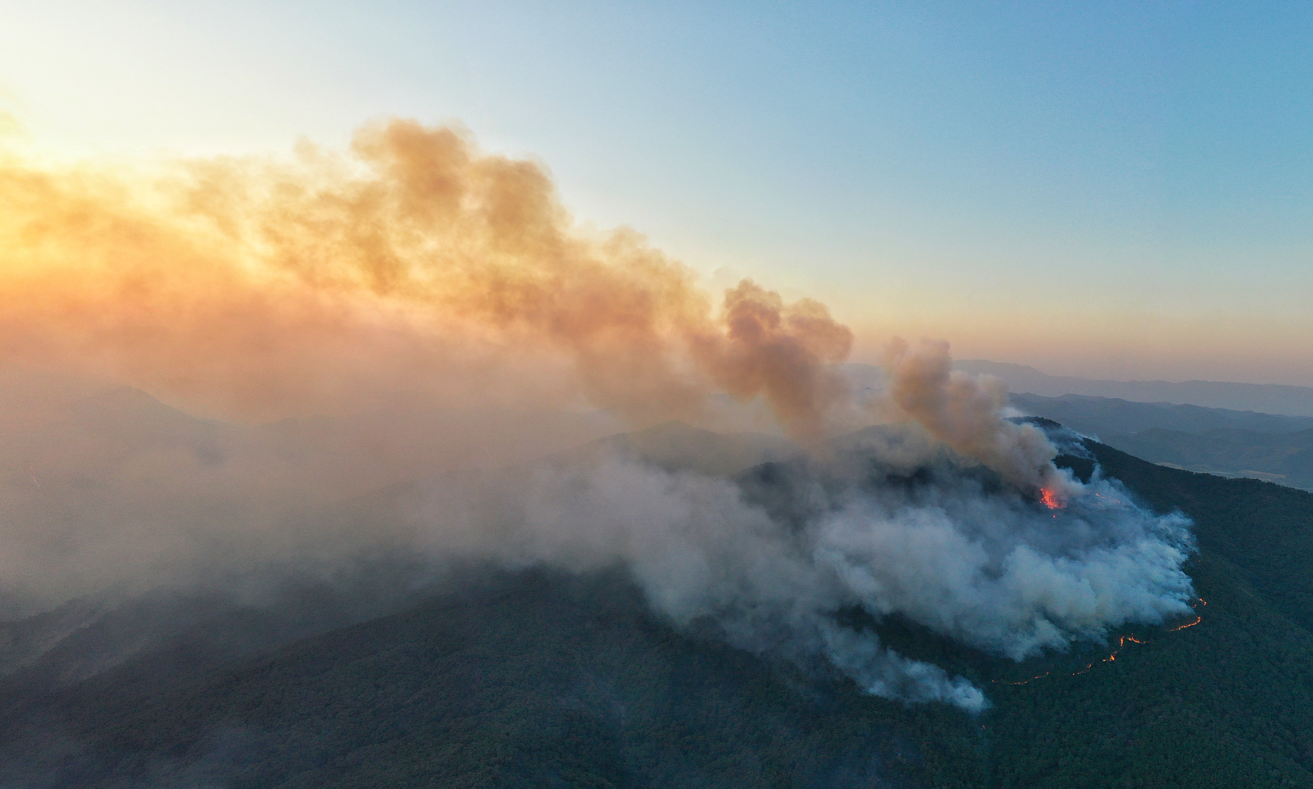 滚动|最新:高明凌云山森林山火全部扑灭