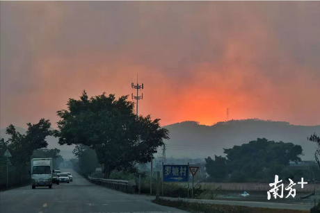 戴嘉信 摄 戴嘉信 摄