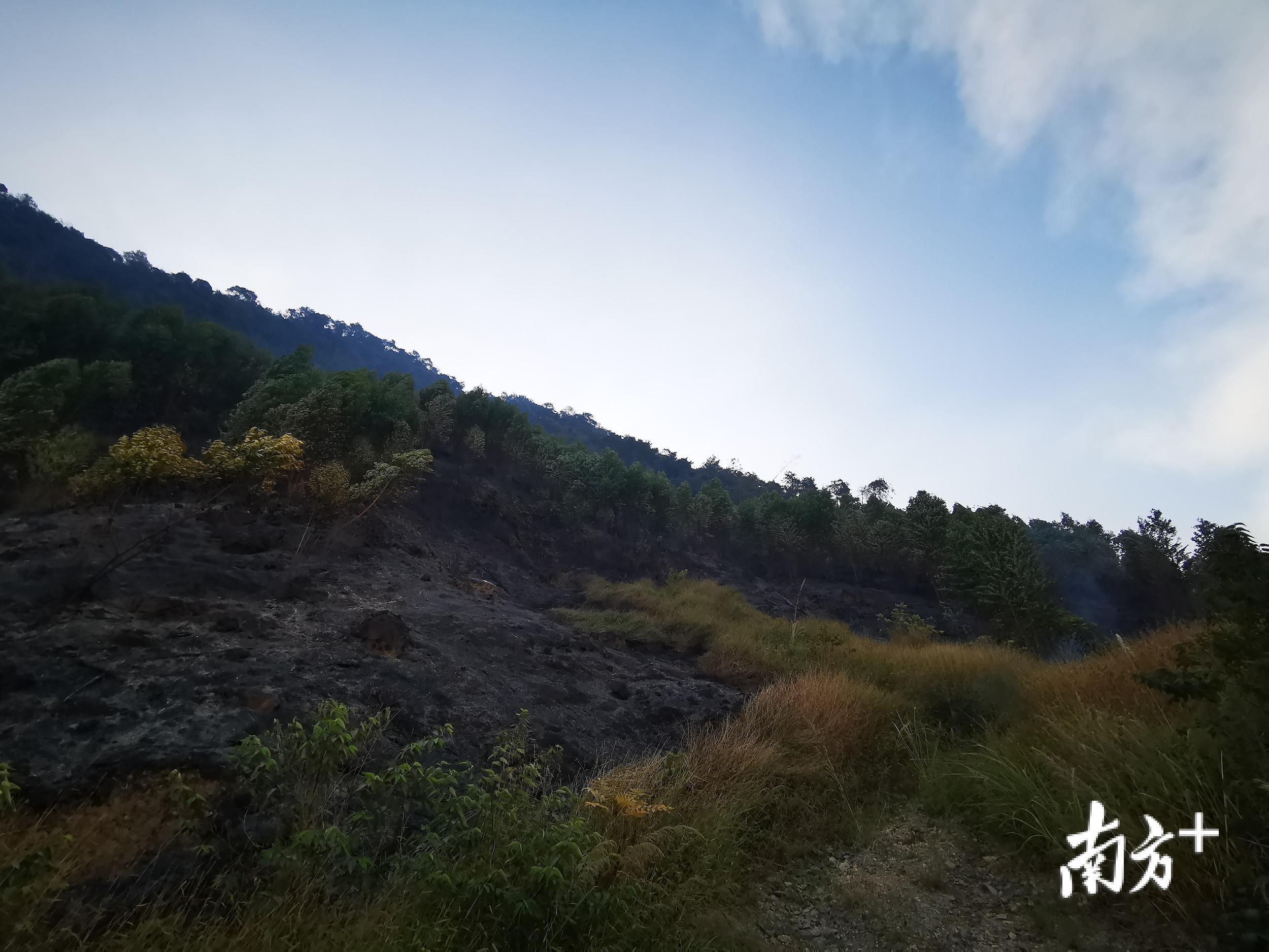 7日上午,一线扑救的肇庆市消防救援支队传回图片显示,高要段火情得到有效控制。肇庆消防救援支队供图 7日上午,一线扑救的肇庆市消防救援支队传回图片显示,高要段火情得到有效控制。肇庆消防救援支队供图