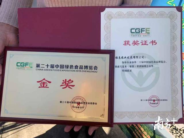 板盖坑强惠雪莲果参加第二十届中国绿色食品博览会（2019年11月28日，中国郑州）荣获绿博会金奖。