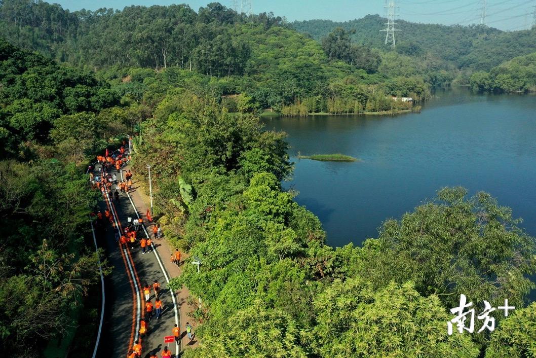 ▲12月1日,第八届东莞麦田爱行·黄江公益徒步活动在黄牛埔森林公园举行 ▲12月1日,第八届东莞麦田爱行·黄江公益徒步活动在黄牛埔森林公园举行