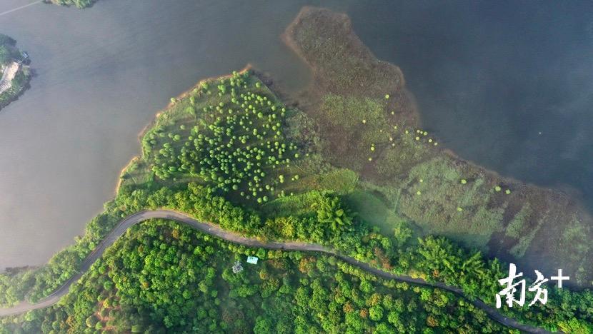 ▲沿湖而建的绿道,备受骑行者喜爱 ▲沿湖而建的绿道,备受骑行者喜爱