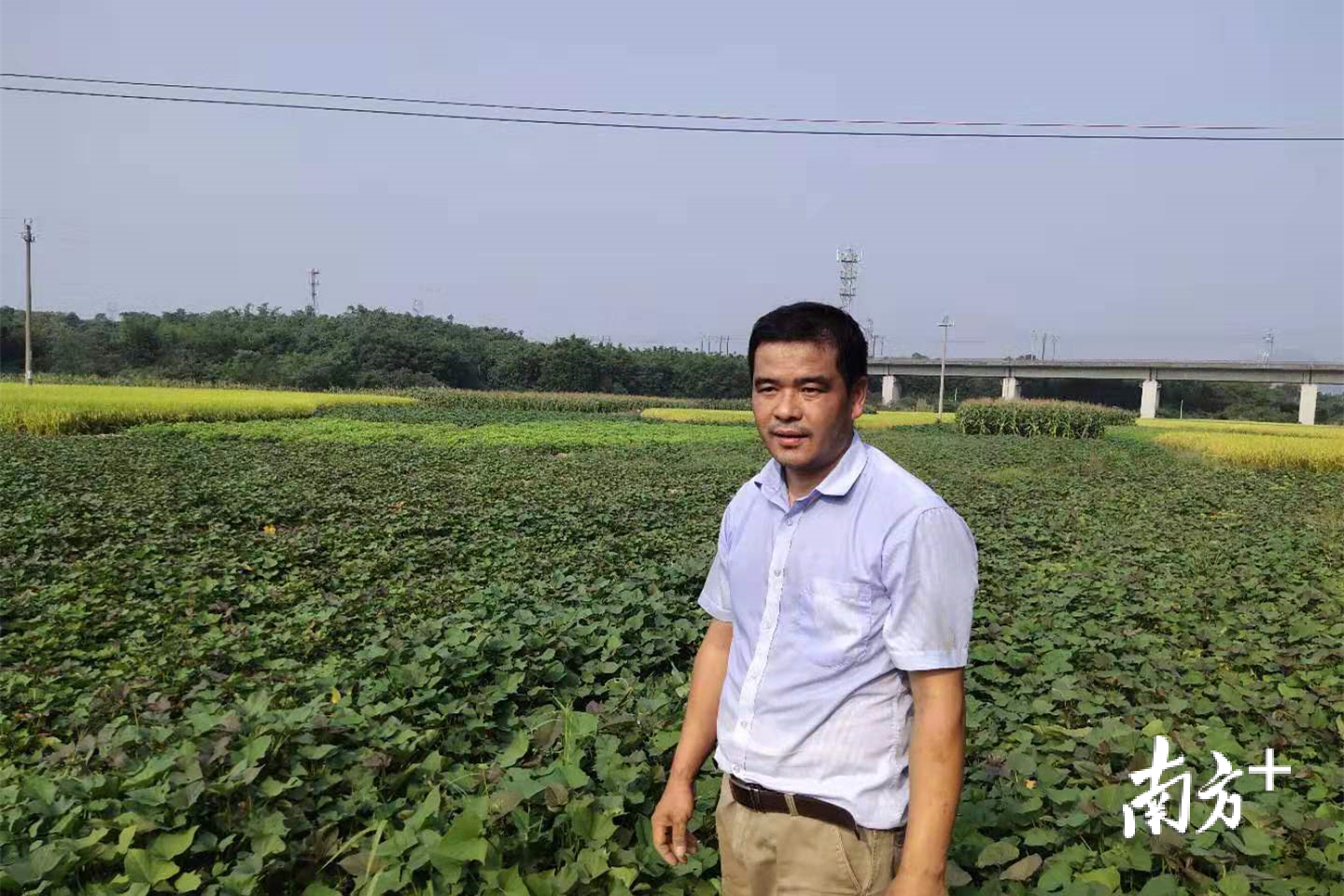 关注双十二从白手起家到日入过万南方带你走近清远农村电商达人