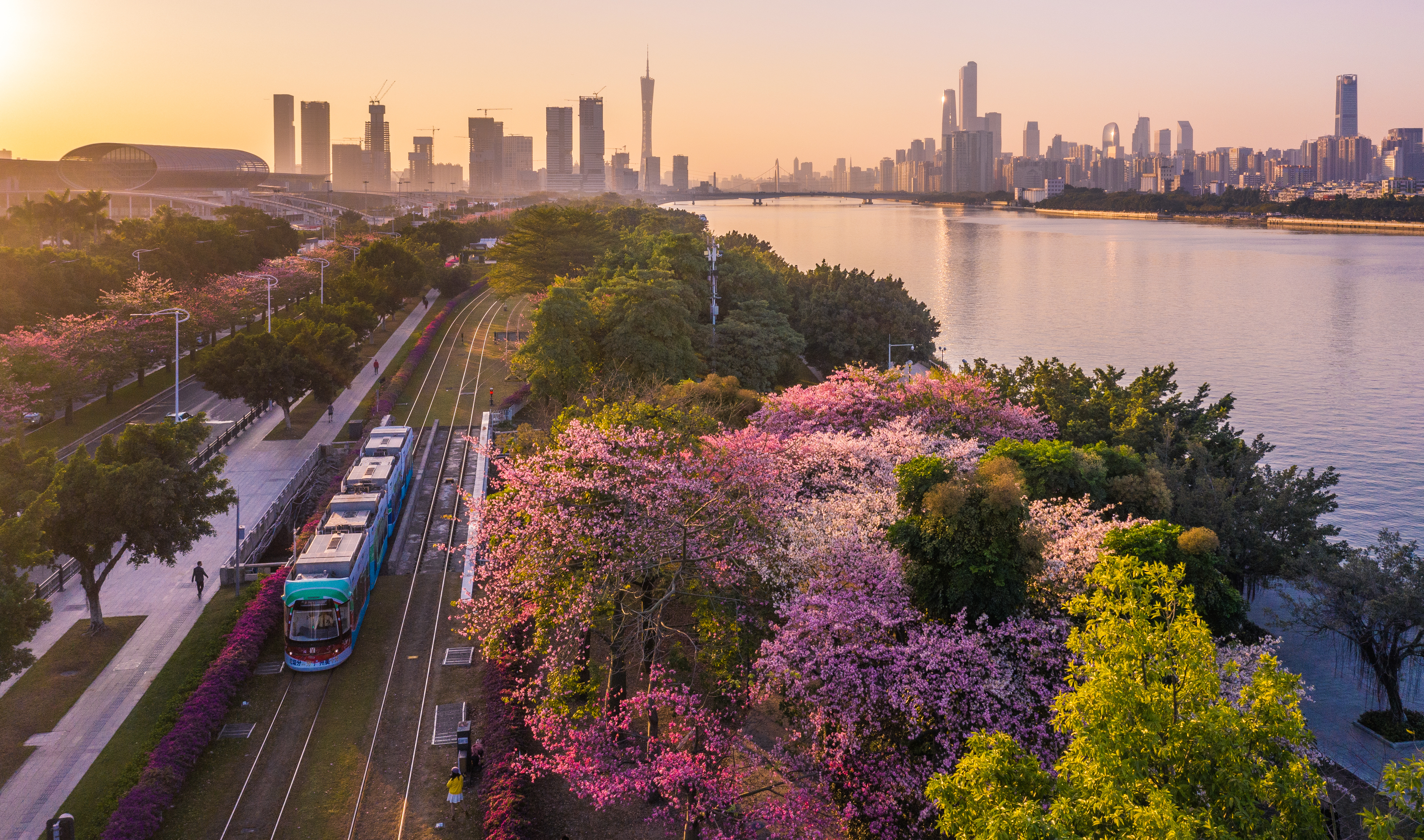 南粤初冬藏四季