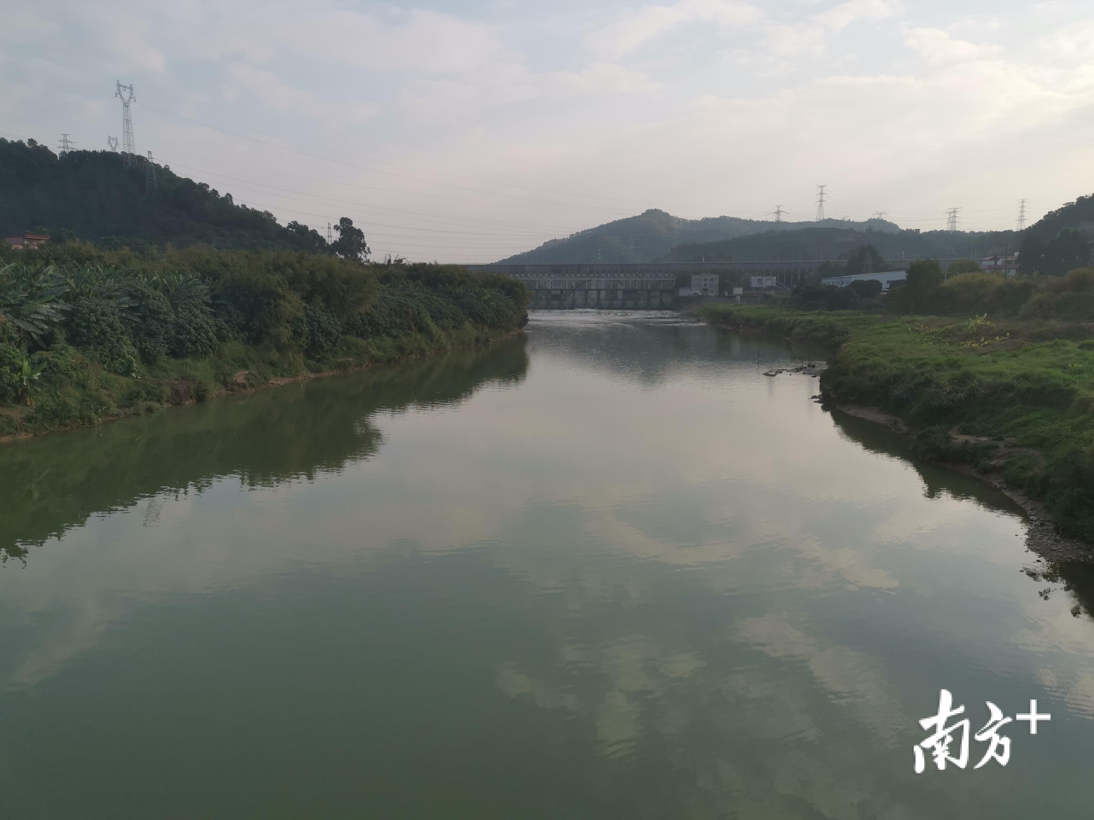 草长鱼欢畅白鹭嬉清泉石马河整治后旧貌换新颜