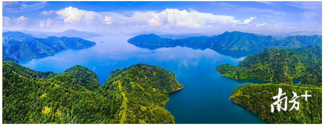 龙川境内的广东省第二大水库枫树坝水库风景优美。黄赞福 摄