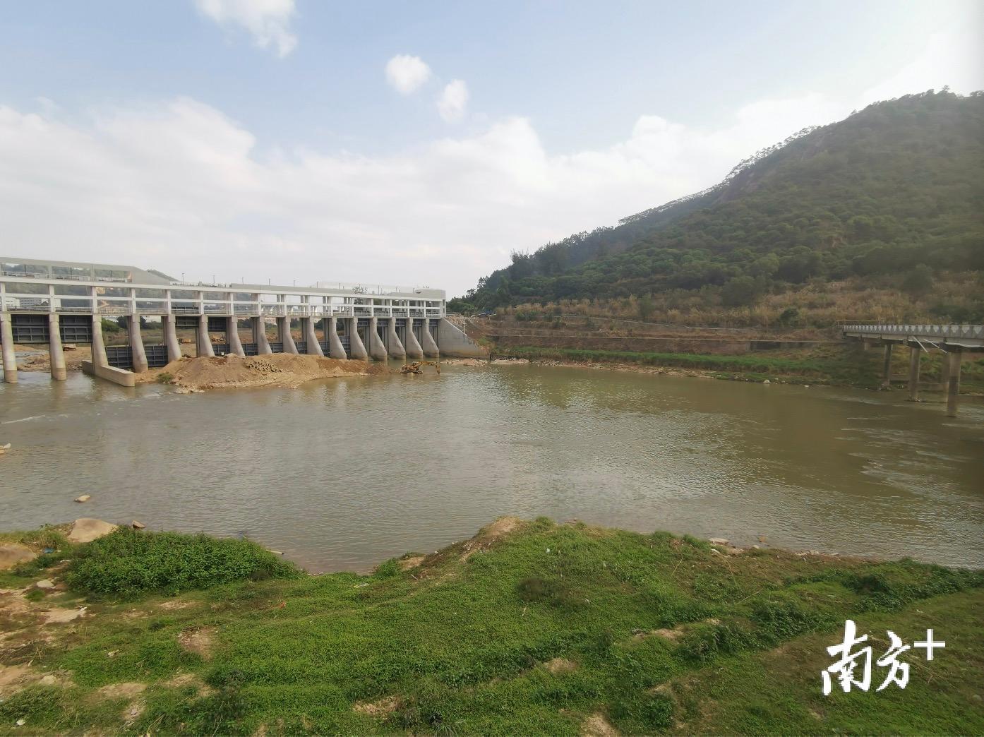 草长鱼欢畅白鹭嬉清泉石马河整治后旧貌换新颜