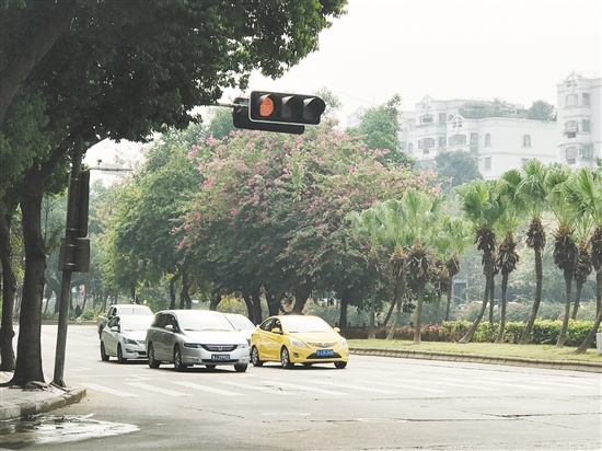 等红灯时该如何停车?挂n挡,拉手刹最安全