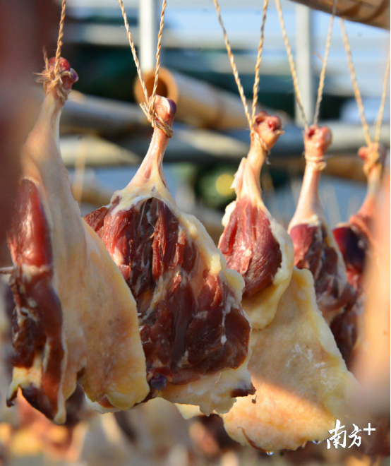 根据佛山客户订单而生产的腊鸭腿。记者黄津 摄