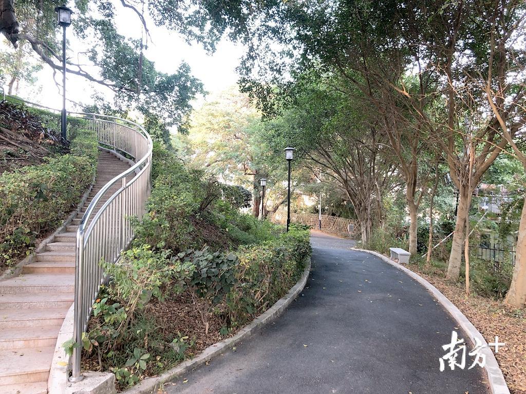 蓝松坤烈士曾召开秘密会议的后山曾经杂草丛生，如今修建为休闲公园。余丹 摄