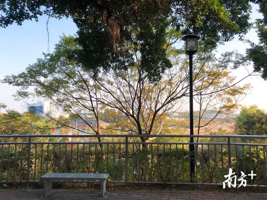 濠江区黎明社区。余丹 摄