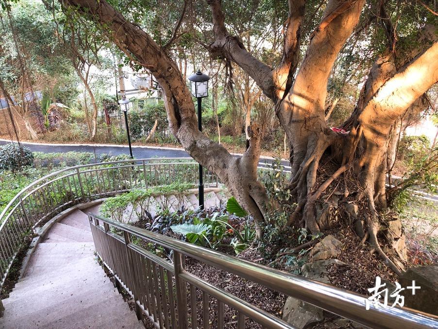 蓝松坤烈士曾在此召开秘密会议。余丹 摄