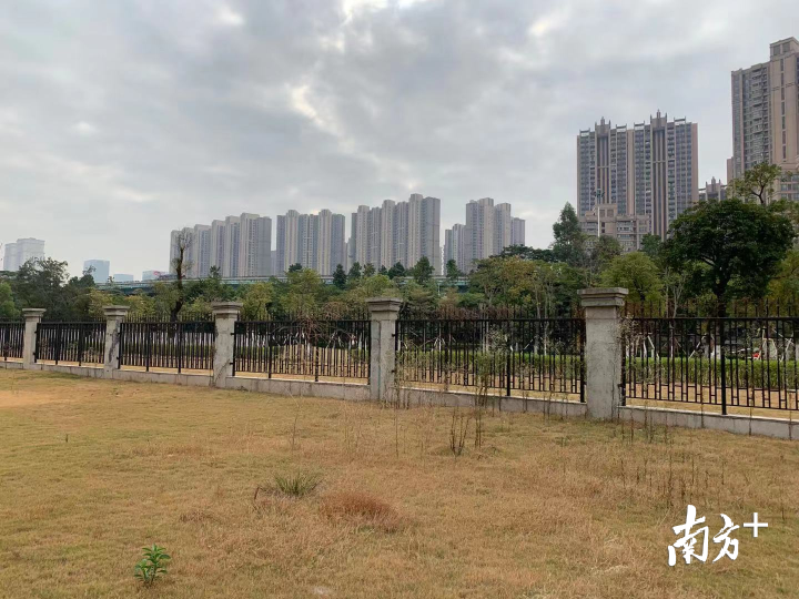 南海机关二幼北园毗邻千灯湖、南海体育公园，周边楼盘密集，人口居住率较高，学位需求量大。李欣 摄