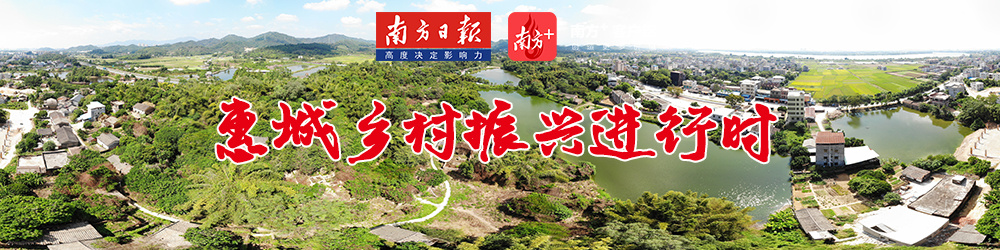 ▲点击图片查看【惠城乡村振兴进行时】专题内容。 