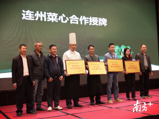 广州有了“连州菜心特约体验餐厅”。记者林伟杰 摄