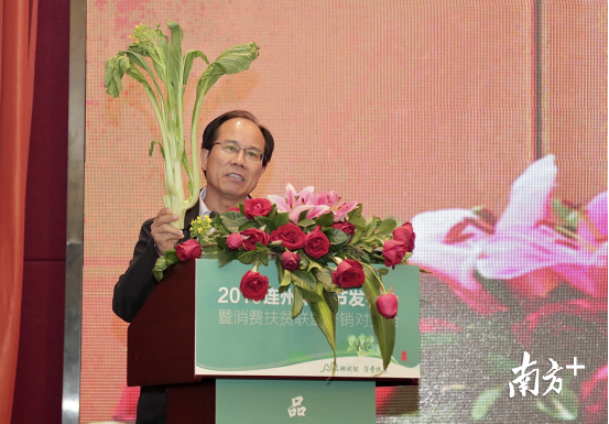 广东现代农业产业技术体系叶菜首席专家、华南农业大学教授杨暹呼吁今后要重点宣传广东菜心、连州菜心。