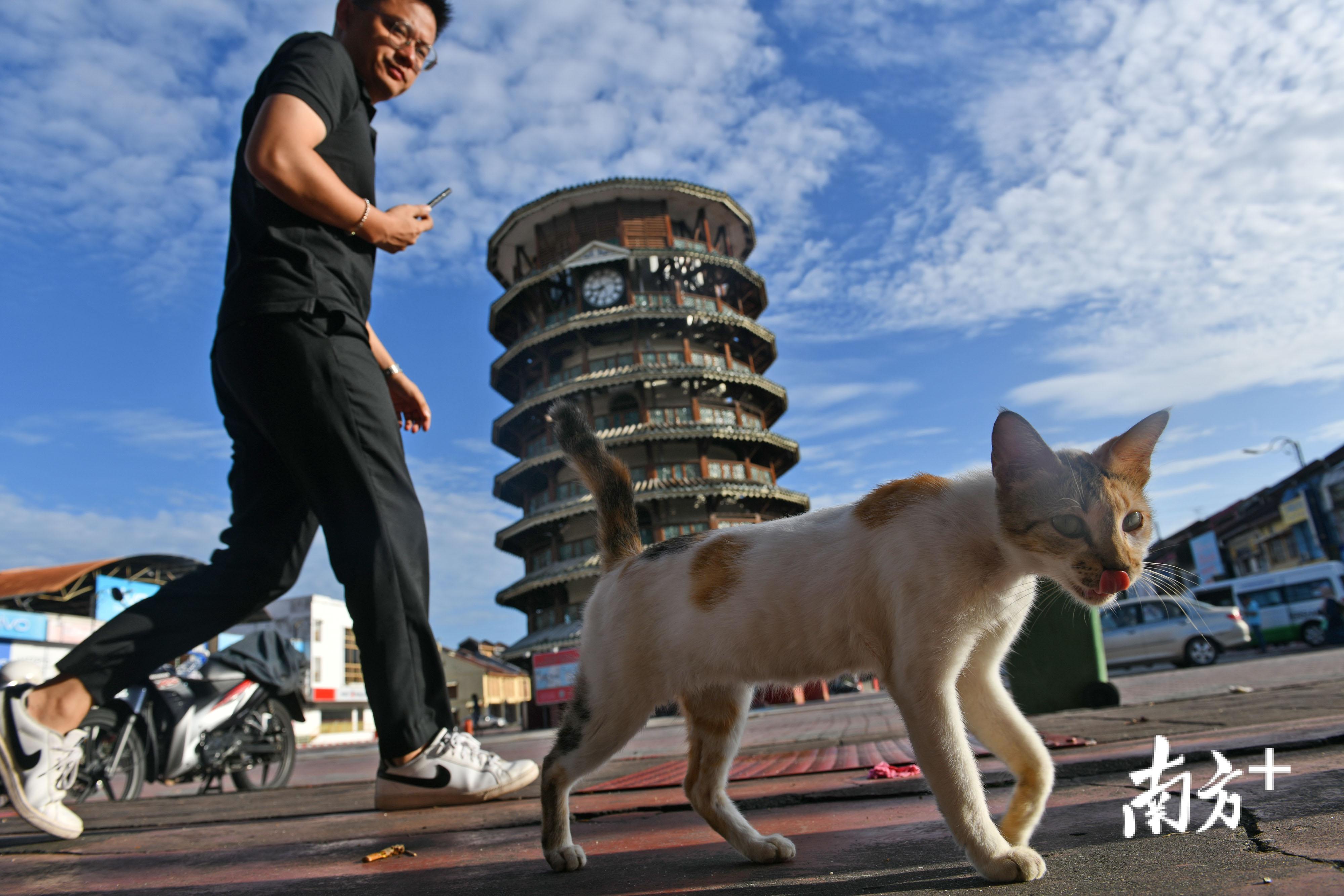 马来西亚安顺斜塔被誉为东方比萨斜塔，由佛山南海人梁全忠设计建造，深具中华韵味。