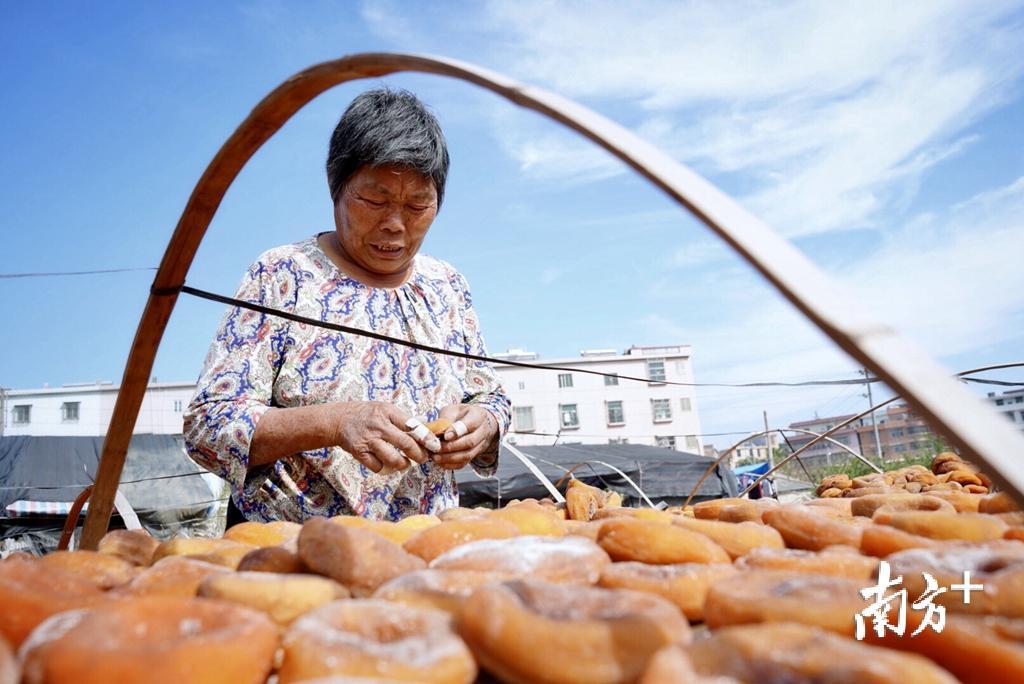 一门手艺一抹乡愁潮阳区金灶镇芦塘村代代传承柿饼加工传统